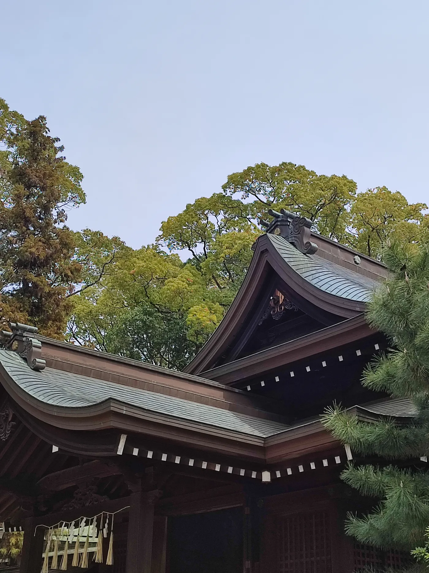Curved copper-green roof of a wooden shrine hall with white paper streamers, beneath fresh green trees and a pale sky